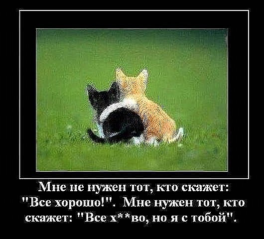 http://cs698.vkontakte.ru/u56810494/114473754/x_cd191e30.jpg